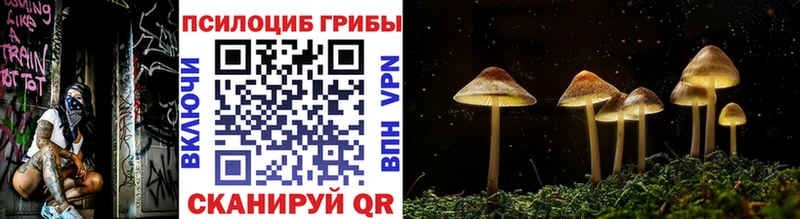Галлюциногенные грибы Psilocybe Сланцы